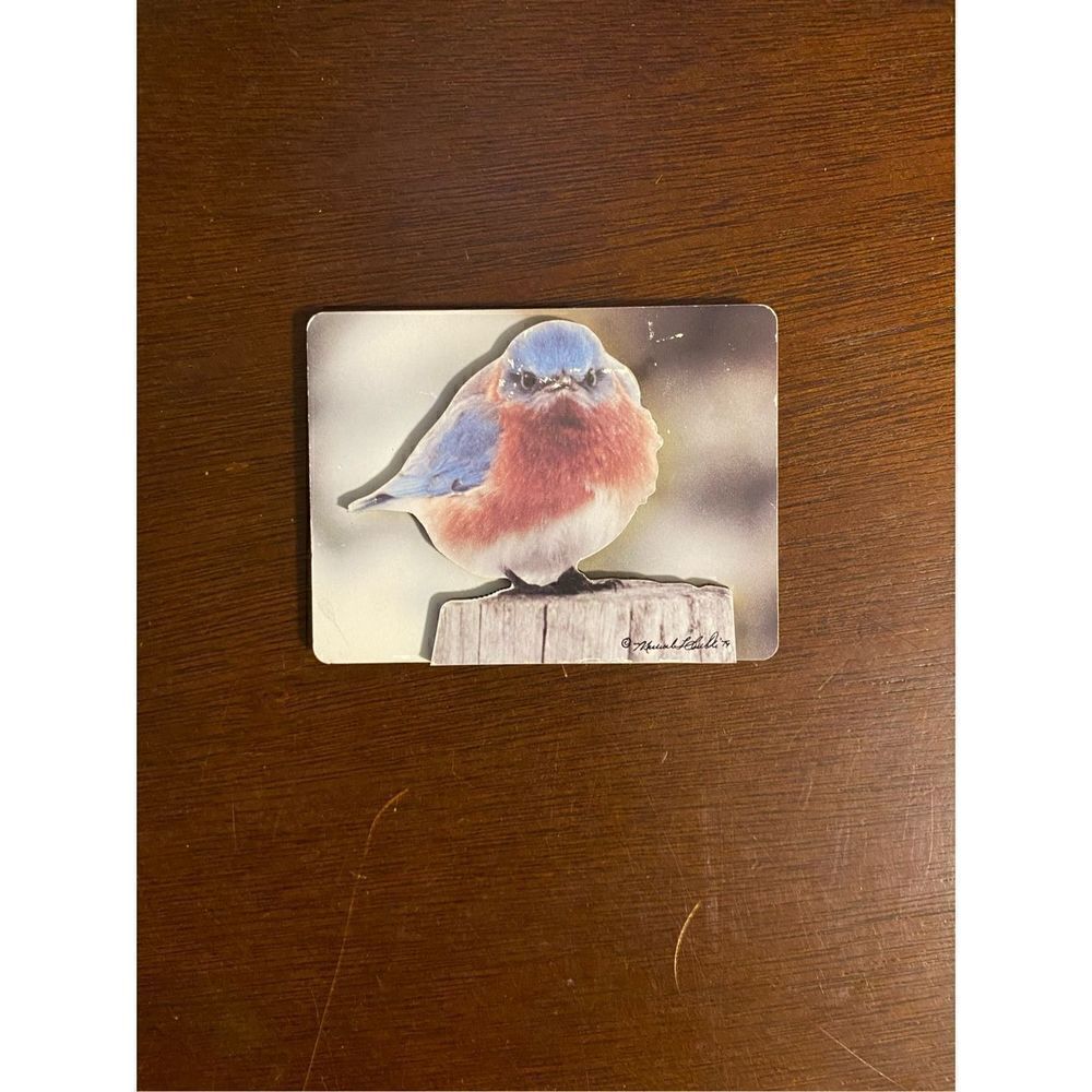 1997 mad blue bird magnet